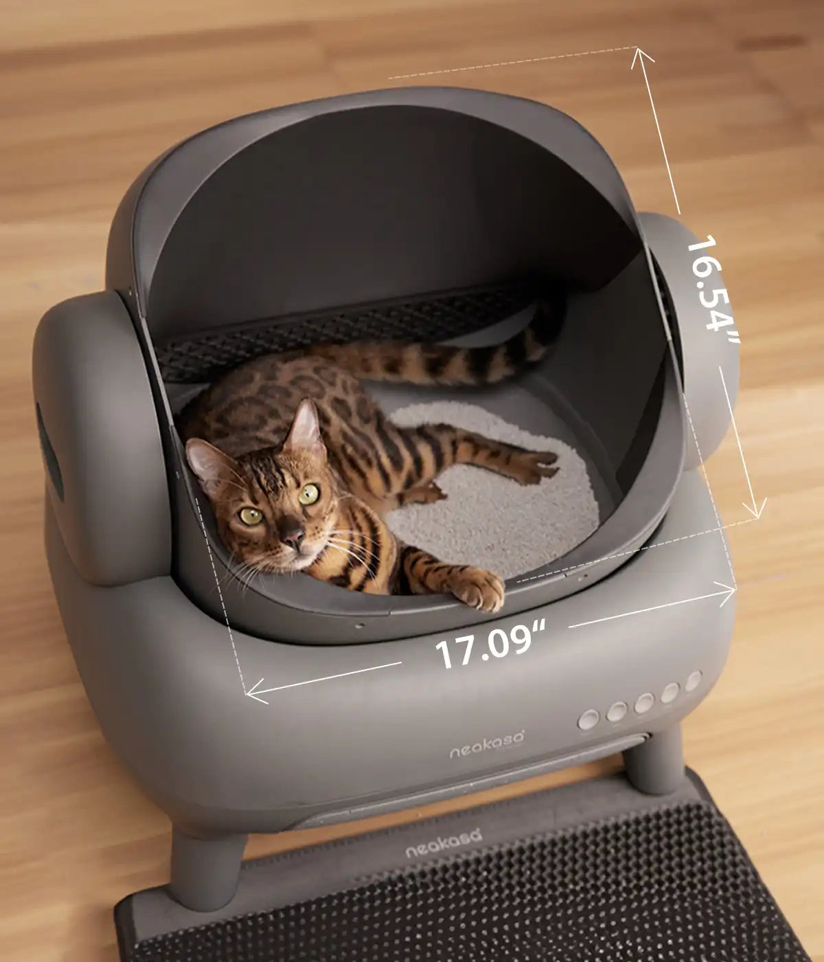 AUTO CAT BOX